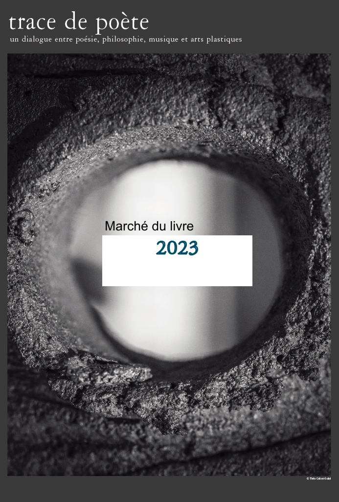 salon du livre Isle sur la Sorgue 2023